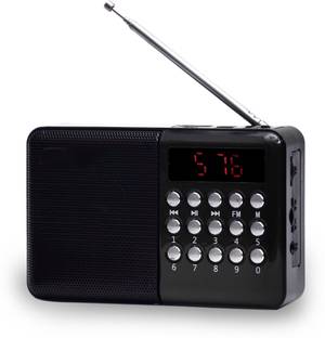 JAXTER Pocket Blast Speaker with Bluetooth, FM, USB/SD Card, and AUX Radio FM Radio