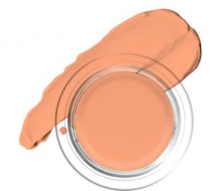 COLORS QUEEN Real Base Full Coverage 2 in 1 Foundation & Concealer Long Lasting & Waterproof Foundation
