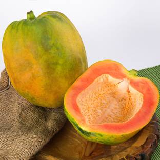 Papaya Semi Ripe
