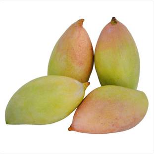Mango Totapuri