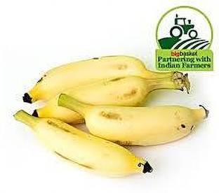 Banana Robusta