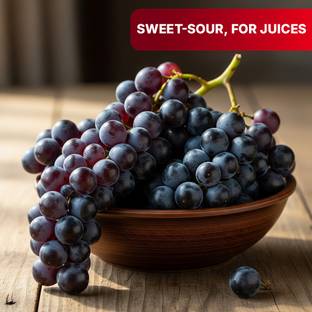 Grapes - Bangalore blue