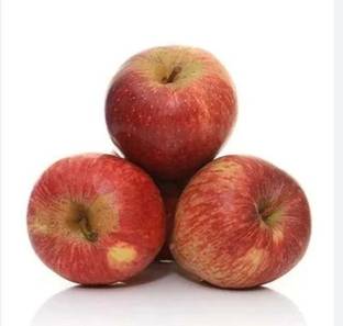 Apple Shimla