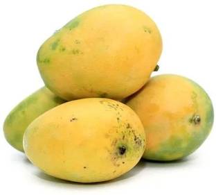 Mango Safeda