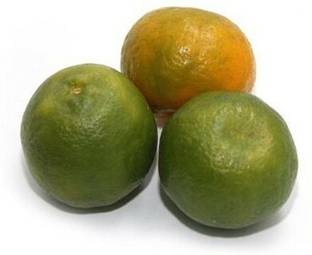 Orange Nagpur Small