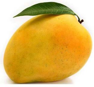 Mango Banganapalli