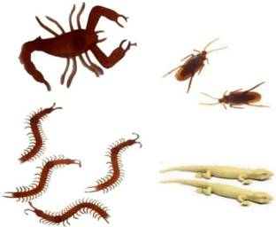 BBS DEAL (1 Pcs Lizard , Centipede Kankhajura ,1 Bicchu Scorpion, 1 Pcs Cockroach) Insects Toy For Make Fool and fun gag toy Gag Toy