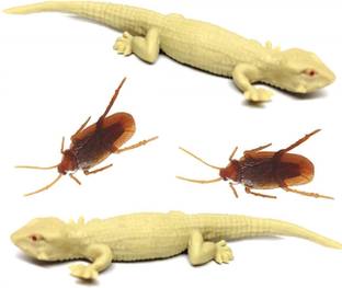 बीबीएस डील lizard_1 पैक ऑफ 
 2/2 pcs कॉक्रोच / छिपकली डार्क कलर गैग टॉय