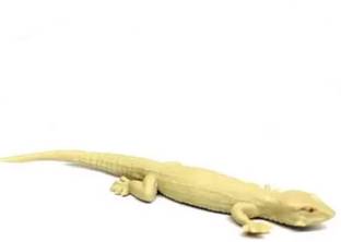 Childgossip 1 Pc Rubber Lizards Looks Real Prank|Scary Insects Toy For Make Fool Gag Toy Rubber Lizard Prank Toy Gag Toy