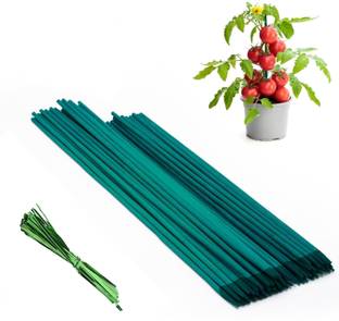 Bloomax Plant Support Sticks, L-2ft, Dia 0.4 inch/10mm Pack Of-30 Pcs Garden Mulch