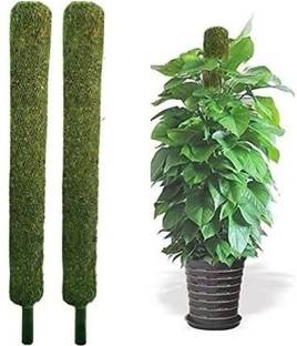 SK Fashion Moistick Grass Stick 2 Feet Pack Of 2 Garden Mulch