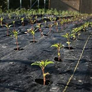 Vallabh Weed Mat (2 Feet) Width 6 Meter Length 110 GSM Mat Garden Garden Mulch