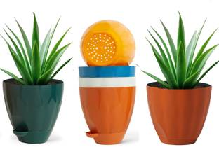 Padchaaya Flower Pot with Bottom Tray Container for Room Planters for Home-Lawns & Garden Garden Tool Kit