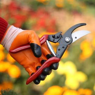 IAGT 1 Major type pruner Garden Tool Kit