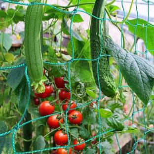 Grinny Plant Climbing Net & 14.8Ft x 6Ft Creeper Support Gardening Netting Green Colour Garden Tool Kit