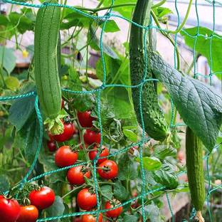 I Geon Plant Support net for Agriculture and Gardening 10Ft.x100Ft. Garden Tool Kit