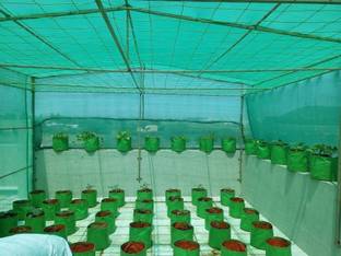YUVAGREEN Evergreen ! Agro Shade Net ! 75% Shade ! Greenhouse UV Stabilized Net ! (3m x 15m) Garden Tool Kit