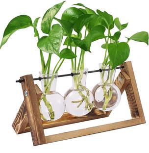 HASTHIP Plant Terrarium with Wooden Stand, Air Planter Bulb Glass Vase Metal Swivel Hold Garden Tool Kit