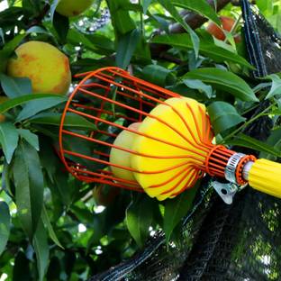 KUBER INDUSTRIES Lightweight Fruit Picker|Fruit, Mango, Coconut Plucker For Garden (Red) Garden Tool Kit