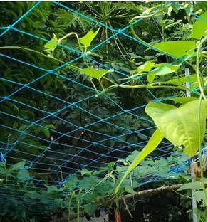 Kollakkompil Spices Plant Climbing Net- Creeper Plant Support / Gardening - 11 F x-16 F Garden Tool Kit