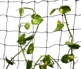 grenfel Plant Climbing Net Creeper Support 15Ft x 6Ft Gardening Netting Blue Colour Garden Tool Kit