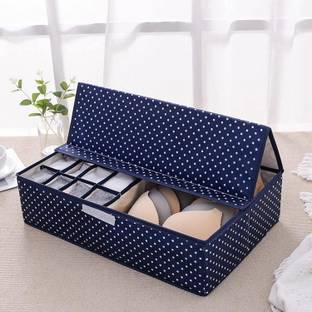ZWEELAY Innerwear Organizer 16 Compartment Storage Box