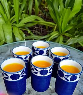 calcine (Pack of 6) Glass Set Water/Juice Glass Glass Set Hot Beverage Glass