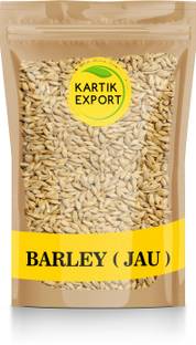 Kartik Export Raw Barley Seeds (Jau) Barley Grain Barley