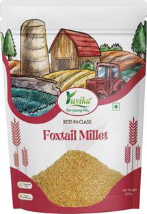 yuvika Foxtail Millets - Kangni - Foxtail Millet