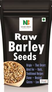 Nature's Bridge Barley Grain | Natural and Rich Fiber Jau Seeds | Non-GMO A+ Grade Barley Barley