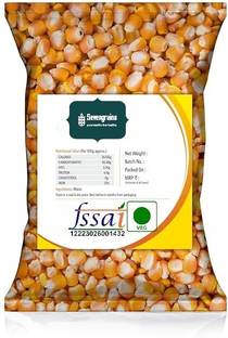 SEVENGRAINS Seeds INDIAN Makki Dana/Popcorn Kernel Seeds 1KG Corn
