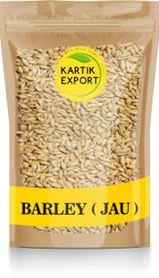 Kartik Export Raw Barley Seeds (Jau) Barley