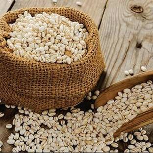 Dryma All Natural and Fiber-Rich Pearl Barley Jau Ghat Barley