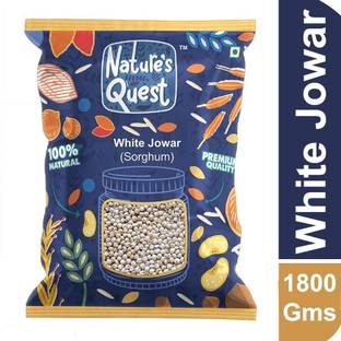 Nature’s Quest White Jowar 1800Gms/Sorghum/Jonna/Sabut/jowari/juar/jola/jondhala/juara/cholam Jowar