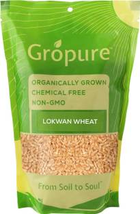 Gropure Organic GroPure Lokwan Whole Wheat