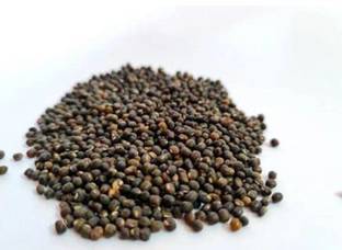 PMW Pillipesara Seeds - 250 Grams Whole Wheat