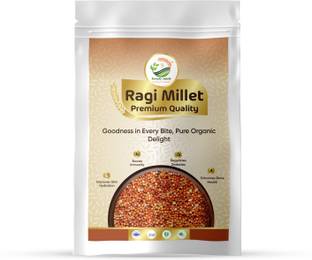 Simply Jaivik Ragi Millet – Naturally Grown Finger Millet, Rich in Calcium, Iron & Fiber Ragi