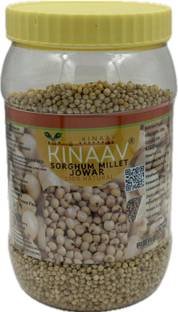 KINAAV Sorghum Millet/jowar Sorghum