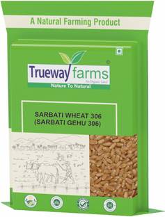 Trueway farms Sarbati Wheat (Sarbati Gehu) Whole Wheat
