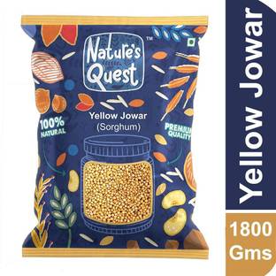 Nature’s Quest Yellow Jowar 1800ms/Sorghum/Jonna/Sabut/jowari/juar/jola/jondhala/juara/cholam Jowar