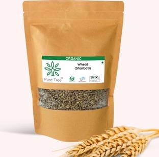 Pure Tree Certified Organic MP Sehori Wheat | Sharbati Wheat Whole Wheat