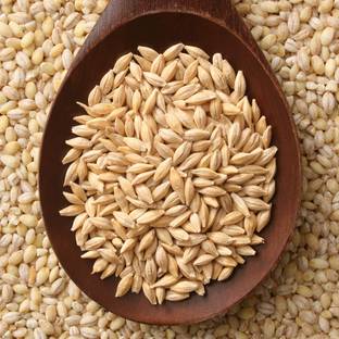 FreshTrain Organic Raw Barley Seeds | Jau Beej | Barley Grain | Natural and Rich Fiber Barley