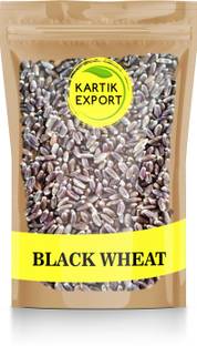Kartik Export Whole Black Wheat Seeds - Kala Gehu - Seeds for Eating & Cooking Whole Wheat