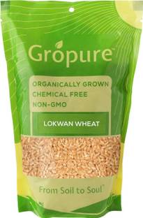 Gropure Organic GroPure Lokwan Whole Wheat