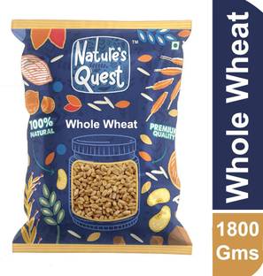 Nature’s Quest Whole Wheat 1800Gms|Gehu|Wheat|Gehu|kothumai|gehoon|geatamp|godhi|gama|kanaka Whole Wheat