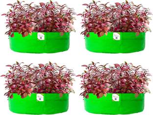 ORGANICBAZAR 24x9 Grow Bags for Leafy Vegetables, Premium HDPE 260 GSM Planter, Pack of 4, Green Grow Bag