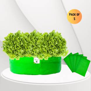 ORGANICBAZAR 18"x6" HDPE Grow Bags 260 GSM, for Leafy Vegetables & Other Plants, (Pack of 5) Grow Bag