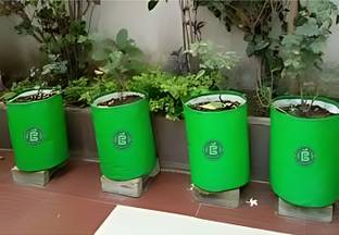 APR Enterprise Green Grow Bag 15x15 inches, for Growing Plants and Vegetables at Home, HDPE Plant Container Set