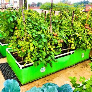 ORGANICBAZAR 72x36x12 Rectangular Grow Bag for Home Garden, Premium HDPE 350 GSM Planter, Raised Grow Bag