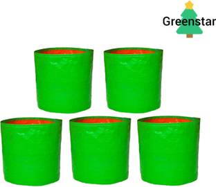 GREENSTAR Grow Bags 12 x 12 inch, Terrace Gardening, Vegetable, Fruits Planting bags Grow Bag